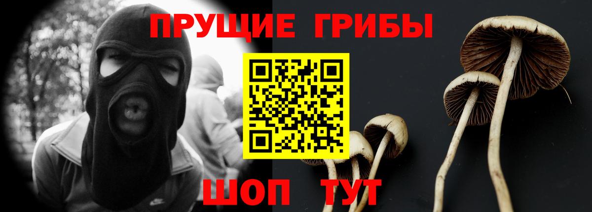 Прокопьевск  Галлюциногенные грибы Cubensis  Вход с VPN  Псилоцибиновые грибы GOLDEN TEACHER 